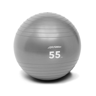 Life Fitness Stability Ball