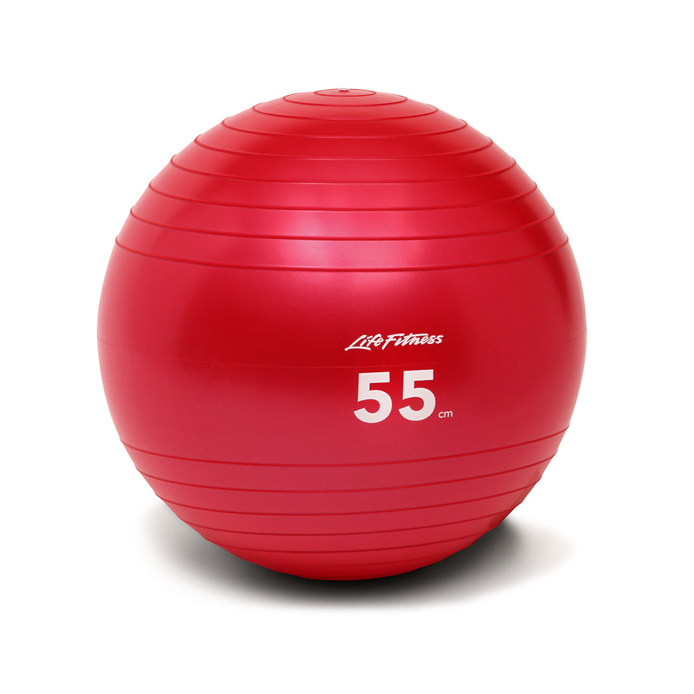 Life Fitness Stability Ball