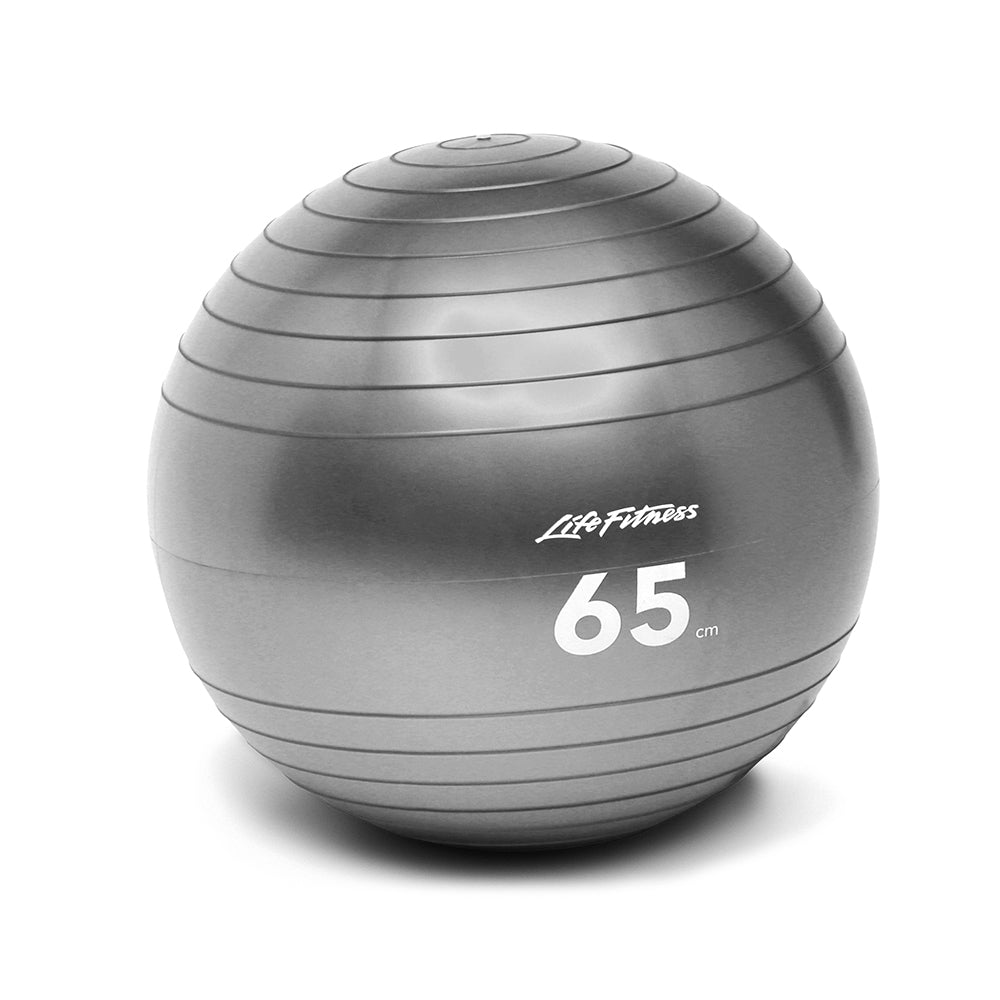 Life Fitness Stability Ball