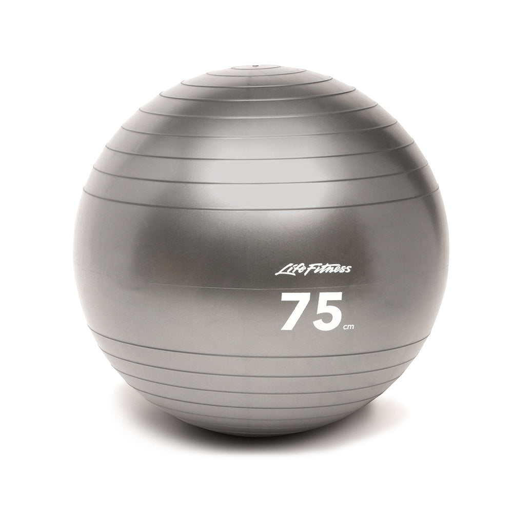 Life Fitness Stability Ball